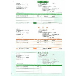ソリマチ 納品書B(請求書・納品書・物品受領書/総額表示)(SR631) メーカー在庫品