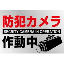 日本緑十字社 イラストステッカー標識 防犯カメラ作動中 貼-133 150×220mm 2枚組 PET 047133(64-9301-33) 取り寄せ商品(4)