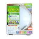 リーベックス LEDセンサーライトカベピカ(SLK800) 取り寄せ商品