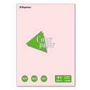 長門屋商店 Color Paper B5 厚口 さくら 1冊(100枚)(ナ-4319) 目安在庫=○