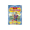 ARC アーサー王物語 DVD(ABX-011) 取り寄せ商品