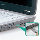 【P5S】サンワサプライ SL-46-G USBコネクタ取付けセキュリティ(SL-46-G) メーカー在庫品