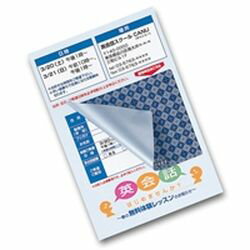 サンワサプライ SANWA SUPPLY 貼り直しができる目隠しシール(2面付) JP-HKSEC11 メーカー在庫品