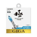 カーメイト エアー4700K H1 55W BD130(69-5472-37) 取り寄せ商品