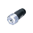 カーメイト 車用 LEDライト プラグタイプ クリスタル付 レインボー LZ33(69-5477-45) 取り寄せ商品