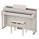 カシオ計算機(CASIO) CASIO AP-300GB メーカー在庫品