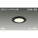 東芝(TOSHIBA) TOSHIBA OWL-ACTC2PD-BK(LEDD85920(K)) 取り寄せ商品