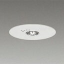 東芝 (TOSHIBA) TOSHIBA OWL-ADCMFM-CG(LEDEM30221M) 取り寄せ商品