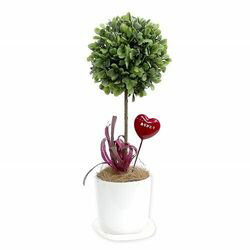 タカ印 人工観葉植物　ボックスウッド　Sサイズ(32-8704) 取り寄せ商品