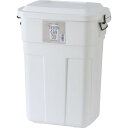 東谷 ゴミ箱 シンプルデザイン トラッシュカン 30L ホワイト(LFS-934WH) メーカー在庫品