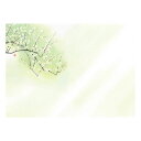 ヤマコー てまひま工房 花雅 おもてなしセット 梅(yamaco88752) 取り寄せ商品