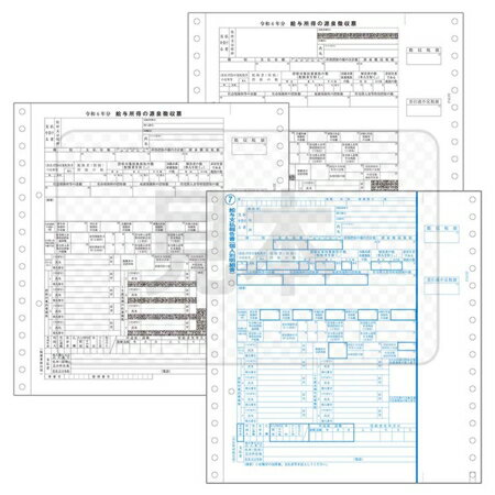ピーシーエー PCA 源泉徴収票 600名入 連続(対応OS:その他)(PA133G600R06) 取り寄せ商品