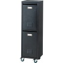 東谷 ラルド ダストボックス(TPN-36BK) メーカー在庫品