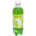 メロンソーダ ペット 500ml（24個）(4980765000810 x24) 商品