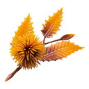ヤマコー 用美 業務用 四季の花ごよみ 栗 (茶) (200個入)(yamaco64332) 取り寄せ商品