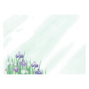 ヤマコー 用美 業務用 尺3四季彩まっと 花雅(はなみやび) 菖蒲 (100枚入)(yamaco66453) 取り寄せ商品