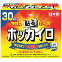 興和 ホッカイロ 貼るタイプ 1箱(30個)(827008) 目安在庫...(4)