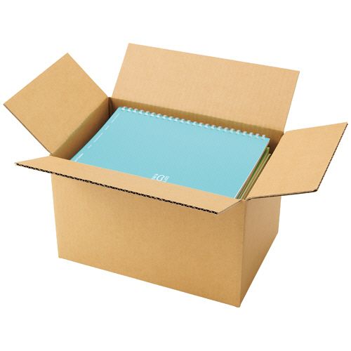 TPS 宅配用ダンボール箱 Bフルート 60-A5 1セット(60枚:20枚×3パック)(4589585767660 x3) 取り寄せ商品