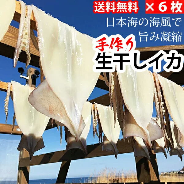 楽天コンプモト　楽天市場店赤羽屋磯辺商店 青森の味！【産直 冷凍】真空冷凍 生干しイカ 特大（200g以上） 6枚（4582390700082 ×6） 特産品