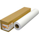 TPS インクジェットプリンタ用 普通紙ロール A1ロール 594mm×100m 1本(IJFA1R) 目安在庫=○