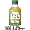 キリンビバレッジ 生茶 からだ晴れ茶 280mL ペットボトル 1セット(48本:24本×2ケース)(4909411091781 x48) 取り寄せ商品