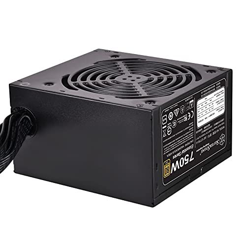 SILVERSTONE JAPAN SST-ET750-G-Rev 取り寄せ商品