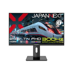 JAPANNEXT JN-T245G300F-HSP 目安在庫=△