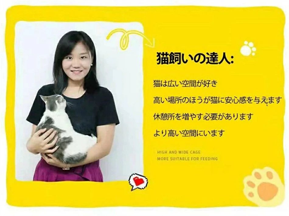 Ķ�緿ǭ�ѥ����� ǭ ������ ¿Ƭ����ǭ ������ �ȥ����դ� 3��ǭ�Υ����� ������ ǭæ���ɻ����Ȥ�Ω�Ƽ�������