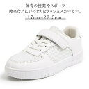 学校 男の子 キッズ 上履き 白 マジックテープ 体育館履き スクール スニーカー