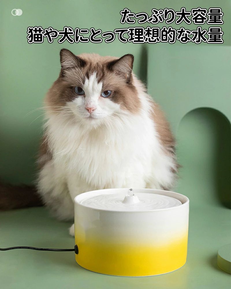 Ķ�Ų� ���󥵡��� ���� �����ɥ쥹 ǭ �� ���������ɻ� ǭ���� ����ߴ�