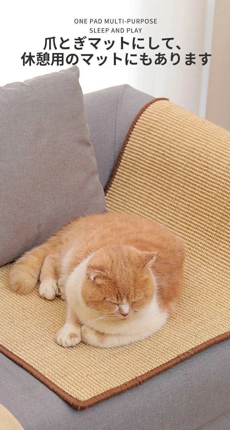 ǭ�� �ޤȤ��ޥå� ǭ�� ������å��㡼�ޥå� 50*90cm ǭ ǭ�� �ޤȤ� �ޥå� ��̩�� ŷ�������������� ǭ�Ѥ������ ������� �ȶ� ���ե� �ݸ�