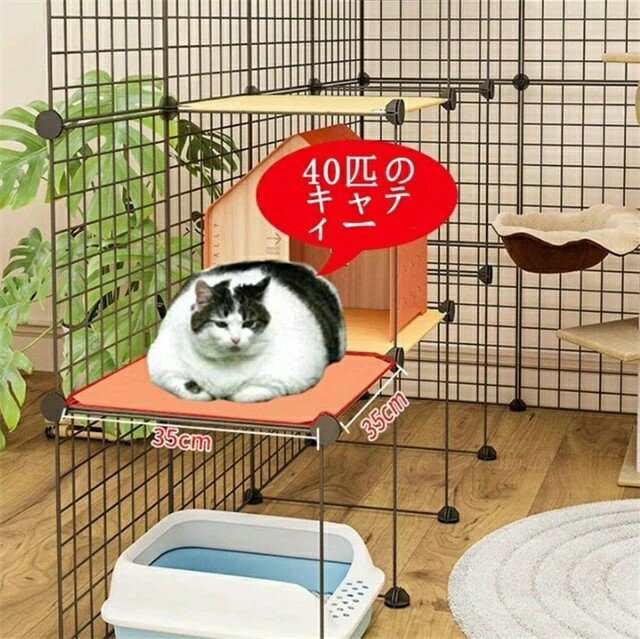 ǭ������ �ȥ��� ������ ������ �ڥå� ǭ ������ ǭ��������°�磻�䡼���������졼�Ȼ�ǭ����å��Ѿ�ưʪ������1��4ɤ��ǭ�˺�Ŭ (L������)