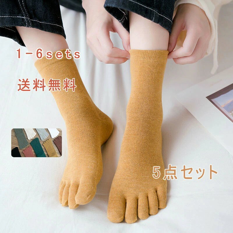 5�ܻإ��å��� ��ǥ����� 5­���å� 5�ܻط��� ���� ���å��� ���롼�� ����Ԥ� ̵�� �Ȥ��� �ɴ� �䤨�� ���� �ۥ磻�� �֥�å� �� �� ���� ����...