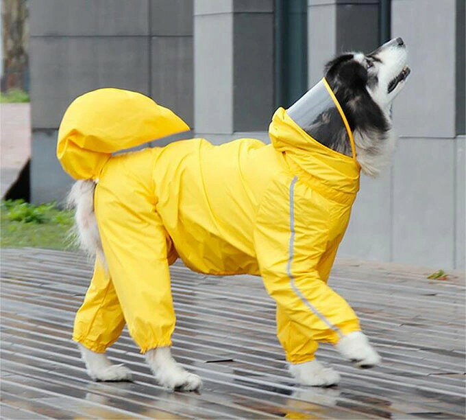 Comset 楽天市場店の犬の服 犬服 ペット用品 ドッグウェア レインコート 雨服 雨具 フード付き 無地 大中型犬用 雨の日 防水 お散歩 お出かけ ファスナー付き 着脱簡単 新作 送料無料｜アングル3
