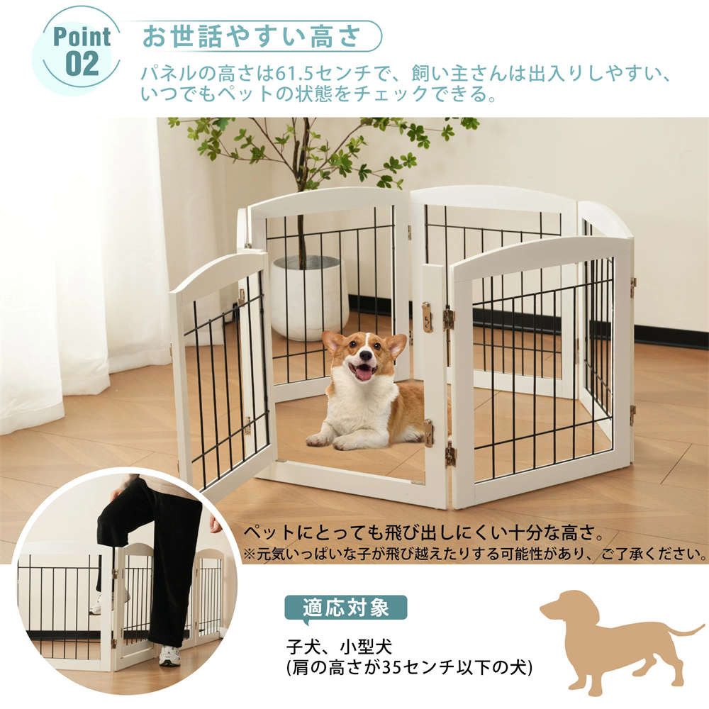 3/4/6�祻�å� �ڥåȥ������� �ޤꤿ���� ���� ������ ������ �ɥå��������� �������� �ɥ��դ� ������ �淿�� ������ ������ Ϸ�� ���˥� ���ߤ��դ� ¿Ƭ���� Ϣ�� ���� ��ĥ ��� �ڥå��ѥ����� �ڥåȥե���