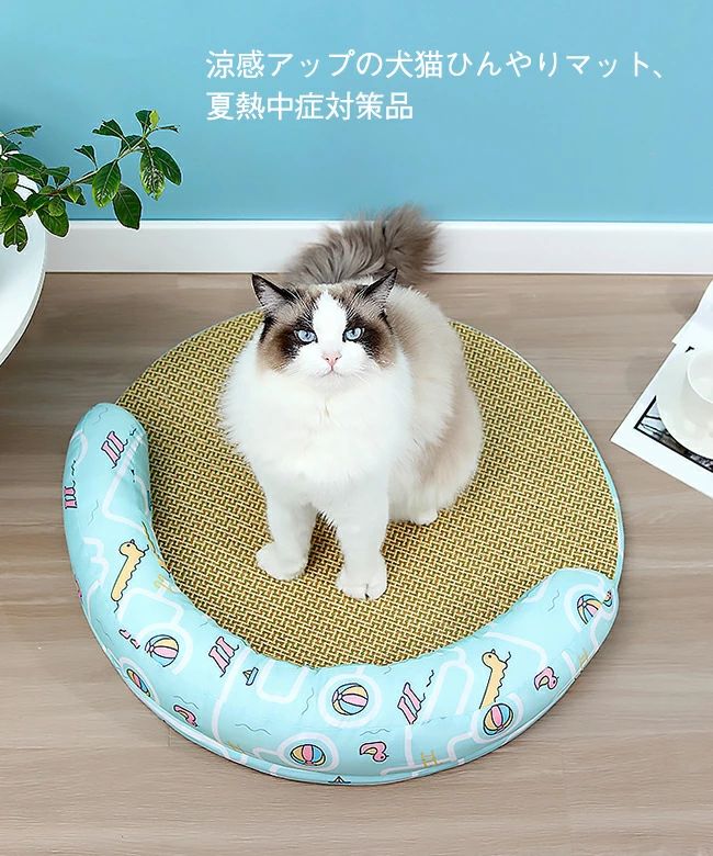 ペットベッド 夏 猫用 ベッド 猫マット 犬 ござ ペット ひんやりマット 小型犬 猫 ...