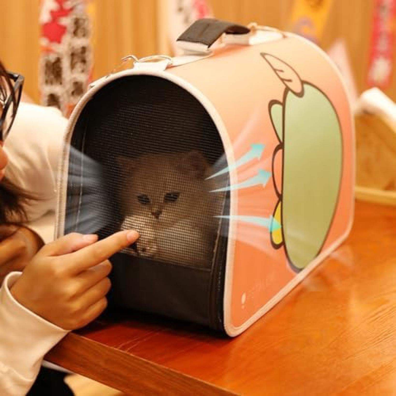 Nartoostonのペットキャリー バッグ ショルダー 中?大型猫?小型犬?うさぎ用 リュック 変形しない 折りたたみ 臭気がない 引っ掻き傷に強い 通気性 飛び出し防止リード 車載/ドライブ/キャンピング/旅行/通院/災害避難用 ペットバッグ マット｜アングル3