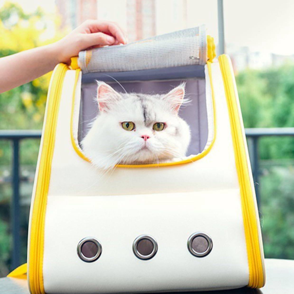 【10％OFFクーポンあり】リュック型ペットキャリー 猫 犬 ペットキャリーバッグ ペットリュック おしゃれ 軽量 ペットキャリー 犬用 37*32*28 ソフトクレート 折り畳み うさぎ 小型犬 猫 キャリーバッグ ドライブ