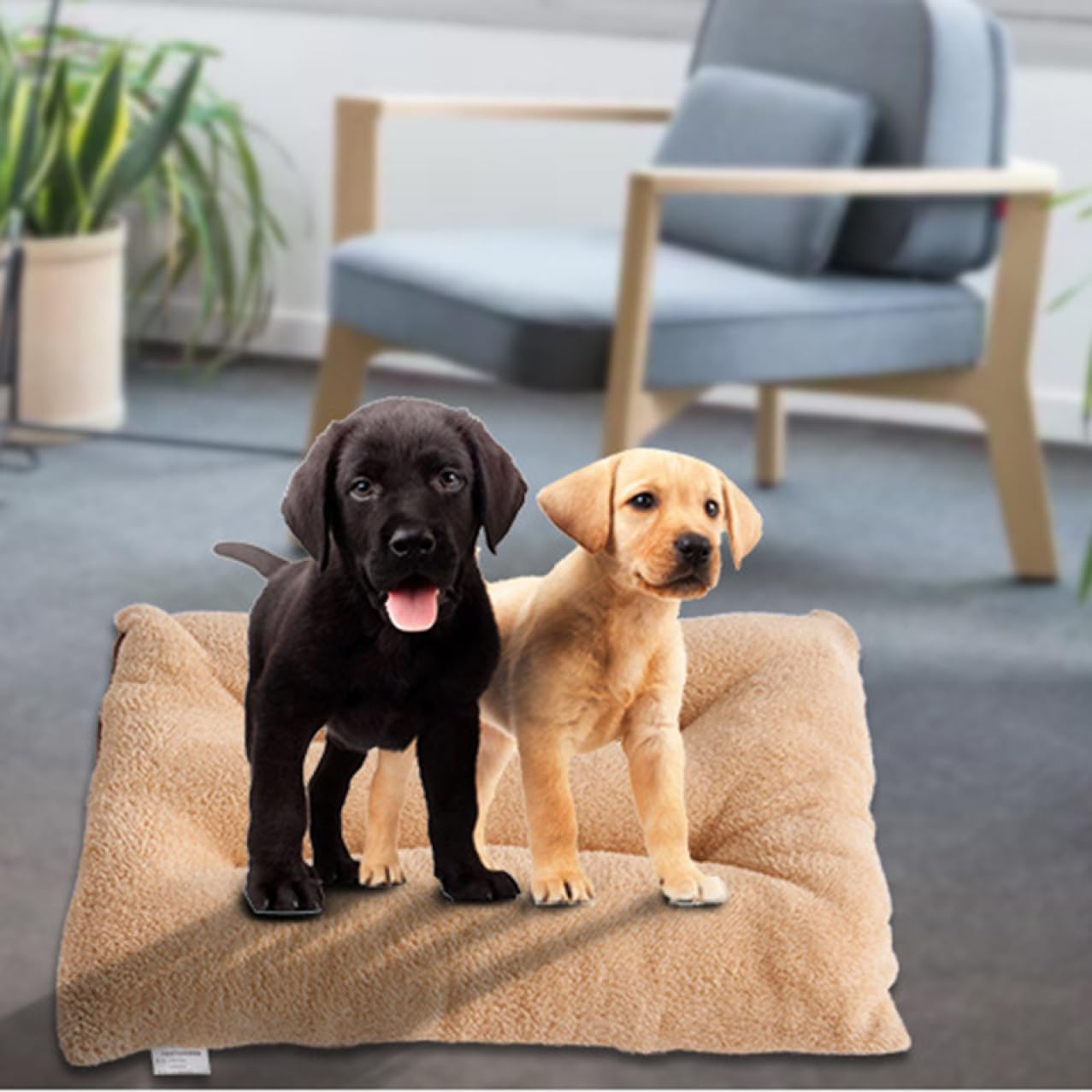 【10％OFFクーポンあり】犬 ベッド 猫 ベッド 通年 洗える ふわふわ ペットベッド 丸洗い 室内 オールシーズン ソファー 北欧 おしゃれ 可愛い 猫ベッド 犬ベッド ねこ いぬ 成犬 シニア 50*70cm 老犬 設計1 comsys-r-10125721 Nartooston パッケージ画像