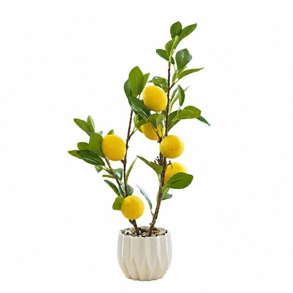 乐天商城 - フェイクグリーン レモンの木 人工観葉植物 鉢植え リアル 卓上 小さい 室内 インテリア おしゃれ 玄関 造花 観葉植物 本物そっくり 水やり不要 枯れない お手入れ不要 虫が出ない 日当たり不要 ミニ リビング 寝室 キッチン トイレ カフェ 飲食店 飾り 癒やし ギフト