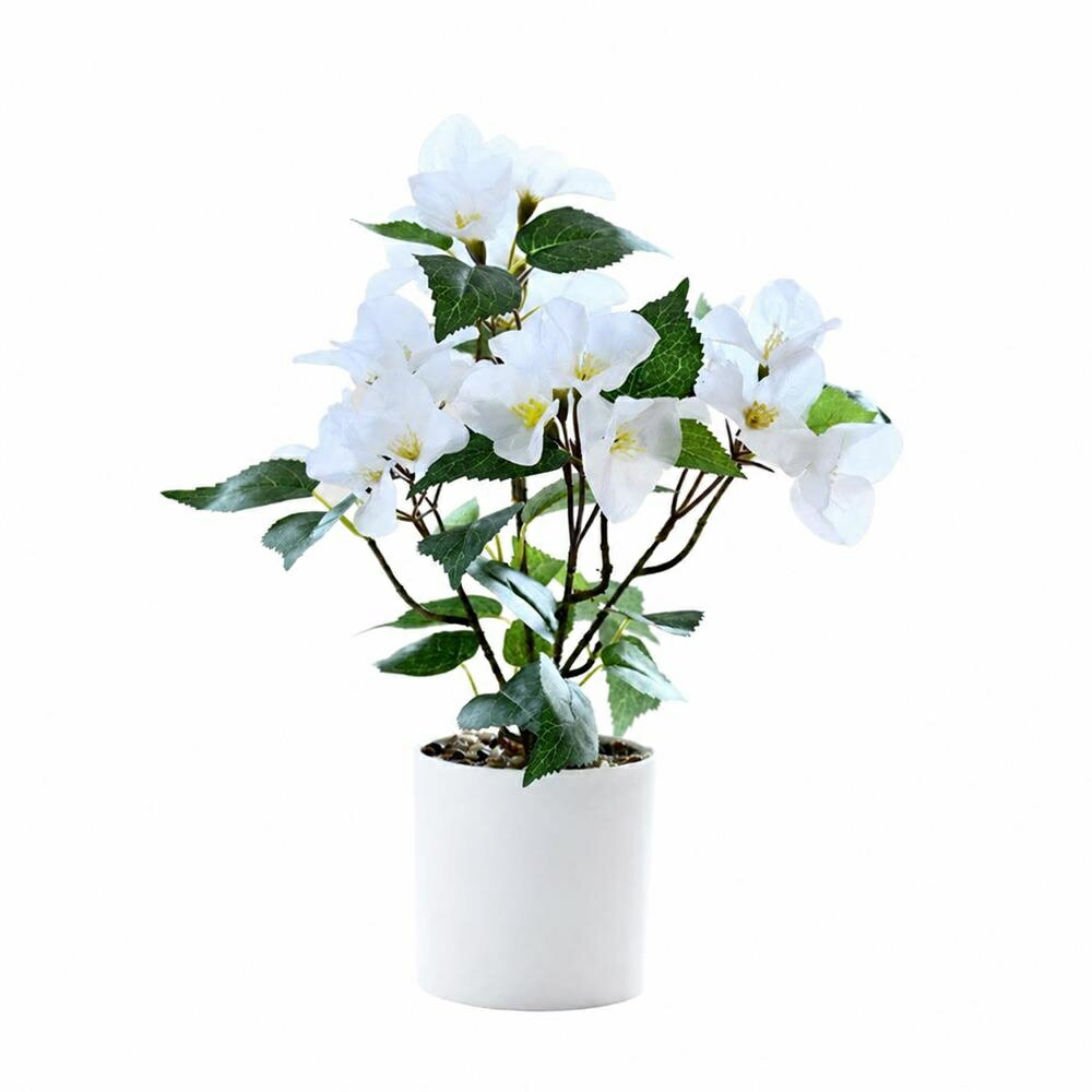 Birthday - 【水やり不要】フェイクグリーン ブーゲンビリア 造花 人工観葉植物 鉢植え 観葉植物 リアル ミニ 小型 枯れない お手入れ簡単 鉢付き 室内 玄関 リビング オフィス 卓上 ホワイト 白 贈り物 ギフト お祝い おしゃれ モダン 北欧風 癒し 置物