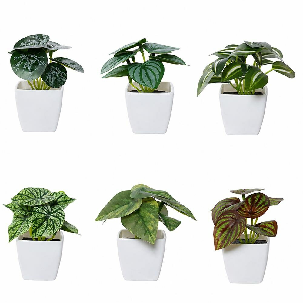 【6個セット】人工観葉植物 フェイクグリーン ミニ 卓上 鉢植え 小さい 観葉植物 造花 インテリア リアル 室内 おしゃれ 玄関 トイレ キッチン デスク 窓際 洗面所 風水 癒やし 雑貨 お手入れ不要 水やり不要 枯れない 虫が出ない 日当たり不要 清潔感 ギフト 贈り物