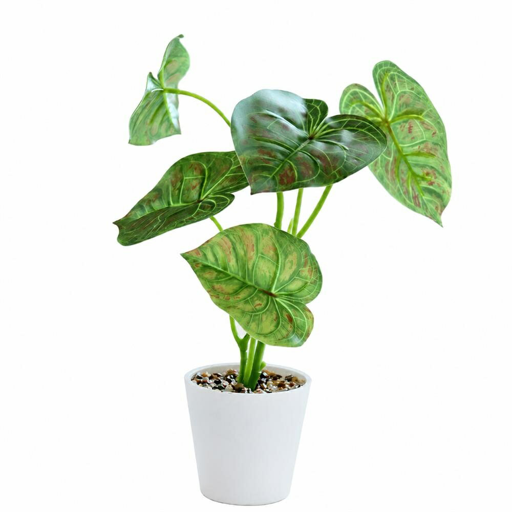 Photo Catalyst - 【リアル質感】 フェイクグリーン 観葉植物 ミニ 卓上 カラジウム 小型 鉢植え 人工 おしゃれ 枯れない 手入れ不要 水やり不要 インテリアグリーン 造花 白鉢 リアル 北欧 モダン 玄関 リビング 寝室 トイレ キッチン オフィス デスク 窓際 癒し 虫が出ない 清潔 ギフト