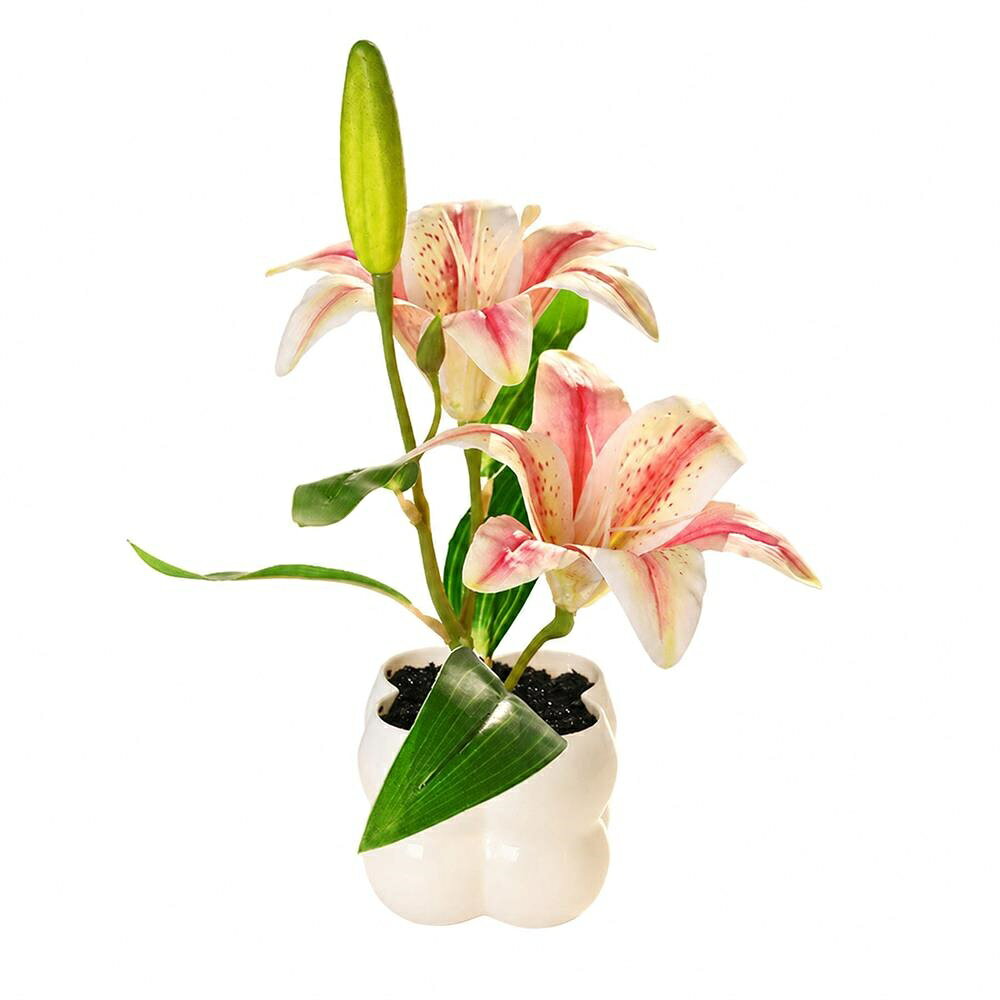 　　　 ◆◇◆売れている秘密◆◇◆ 【本物のような質感】特殊な素材を使用したこの造花 百合は、触れると驚くほどしっとりとしたリアルな手触りを再現しています。繊細な花びらのグラデーションが美しく、お部屋に華やかさを添えるフェイクグリーン 盆栽として、視覚的にも触覚的にも本物の植物のような癒しと上質なライフスタイルを与えてくれます。 【永遠に咲き続ける美しさ】この人工観葉植物は、水やりや日光を必要としないため、忙しい方や植物のお世話が苦手な方でも手軽に楽しめます。枯れない造花 百合なので、季節を問わず一年中鮮やかな色彩を保ち、お部屋の空気をパッと明るく彩ります。虫の心配もなく、常に清潔に保てるのがこのインテリア 盆栽の魅力です。 【あらゆる場所に馴染むデザイン】コンパクトなサイズの盆栽 鉢植えは、リビングのサイドテーブルや書斎、オフィスのデスクなど、場所を選ばず設置可能です。主張しすぎない上品なピンクの百合 造花が、日常の空間にエレガントなアクセントを加え、目に入るたびに心を和ませてくれるような素敵な空間演出を実現します。 【で丈夫な造り】耐久性に優れた素材を採用したこのフェイクフラワーは、型崩れしにくく長期間美しい状態を維持します。お手入れは表面のほこりを軽く払うだけで完了するため、手間がかかりません。花びら一枚一枚が丁寧に作られた手作り感のある造花 百合は、細部までこだわりが詰まったなインテリア雑貨です。 【大切な方への贈り物に】本物のような見た目のこの百合 盆栽は、お祝いや誕生日、母の日などのギフトとしても最適です。生花と違い花粉やアレルギーの心配もないため、病院へのお見舞いや新築祝いにも大変喜ばれます。どなたでも扱いやすい人工植物は、大切な人の生活に彩りと温もりを届ける心のこもったプレゼントになります。 　　　◆◇◆注意事項◆◇◆ご覧のモニターの環境、撮影環境により実物と色味が異なって見える場合がございます。湿った状態で他のものと擦り合わせると色が移る恐れがあります。濃色品の洗濯時は、白色、淡色と分けて洗ってください。説明 【本物のような質感】しっとりとした手触りの手感素材を採用した百合造花は、生花のような瑞々しさを再現しています。上品なピンクの百合盆栽が、お部屋に華やかさと優雅さをプラス。細部までこだわったこのフェイクグリーンは、一目見ただけでは造花とは分からないほどの高い完成度を誇る逸品です。 【お手入れ不要で年中美しい】この百合盆栽なら、水やりや日光の調節、枯れた花びらの掃除などは一切不要です。忙しい毎日でも、手間をかけずに美しい状態を維持できる人工観葉植物は、インテリアの強い味方。花粉の心配もないため、リビングや寝室など、場所を選ばず安心して百合の置物を飾れるのが最大の魅力です。 【空間を彩る癒しのデザイン】コンパクトなサイズの卓上観葉植物は、殺風景になりがちなデスク周りや書斎に彩りを与えます。目に入るたびに心が和むような、温かみのある百合造花のデザインは、日常のストレスを軽減し、リラックスできる空間作りをサポート。日当たりの悪い場所でも、このフェイクフラワーが明るい雰囲気を演出します。 【耐久性に優れた素材】な素材を使用したこの百合盆栽は、色褪せにくく長期間美しい姿を楽しめます。埃がついた際は、柔らかい布で軽く拭き取るだけでお手入れ完了。季節を問わず楽しめるインテリアフラワーとして、丈夫で長く愛用できる設計です。シンプルながらものある鉢が、造花盆栽をより引き立てます。 【大切な方へのギフトにも最適】オフィスや自宅の玄関、店舗の装飾など、幅広いシーンで活躍するこのフェイクフラワー。誕生日、母の日、引っ越し祝いなどのプレゼントとしても大変喜ばれます。場所を取らない絶妙なサイズ感の百合盆栽は、どんなインテリアスタイルにも馴染みやすく、センスの良い贈り物として非常におすすめです。