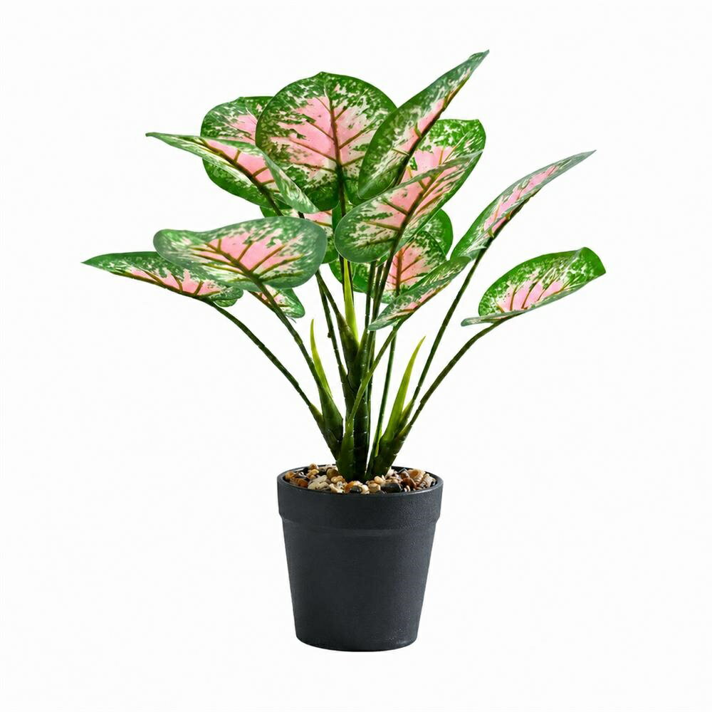 【虫がわかない】 観葉植物 フェイクグリーン 卓上 小型 人工観葉植物 鉢植え アグラオネマ カラジウム 斑入り ピンク 本物そっくり リアル 造花 室内 玄関 トイレ キッチン デスク 飾り ミニ おしゃれ 枯れない 水やり不要 お手入れ簡単 清潔 インテリア 癒やし