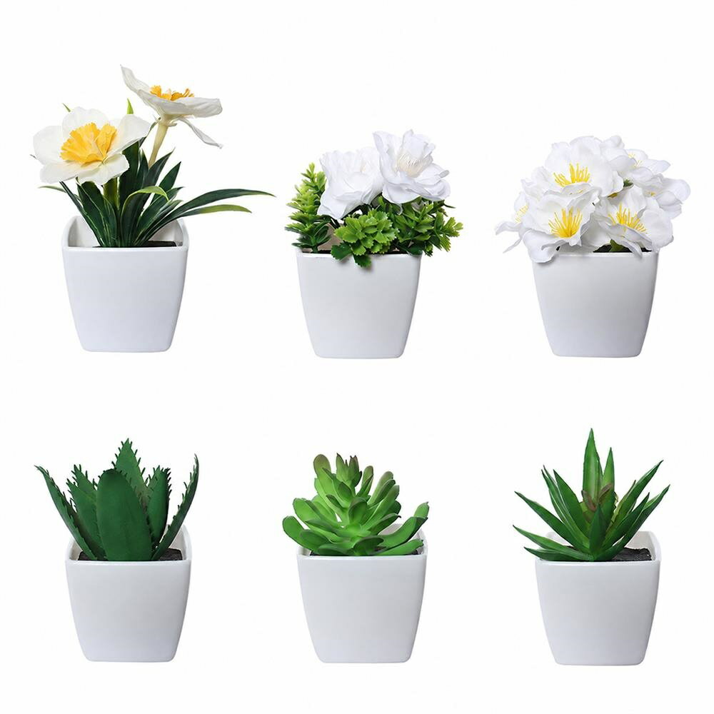 乐天商城 - 【6点セット】フェイクグリーン 観葉植物 人工 リアル 多肉植物 造花 ミニ 鉢植え インテリア 卓上 盆栽 サボテン お花 小さい おしゃれ 置物 玄関 トイレ 洗面所 デスク 飾り物 キッチン 窓際 お手入れ不要 水やり不要 枯れない 清潔 虫が出ない 癒やし 陶器風 北欧