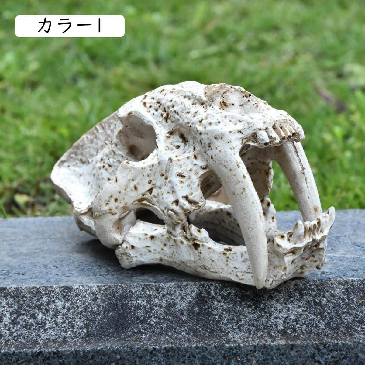 楽天市場】恐竜 化石（インテリア小物・置物｜インテリア・寝具・収納