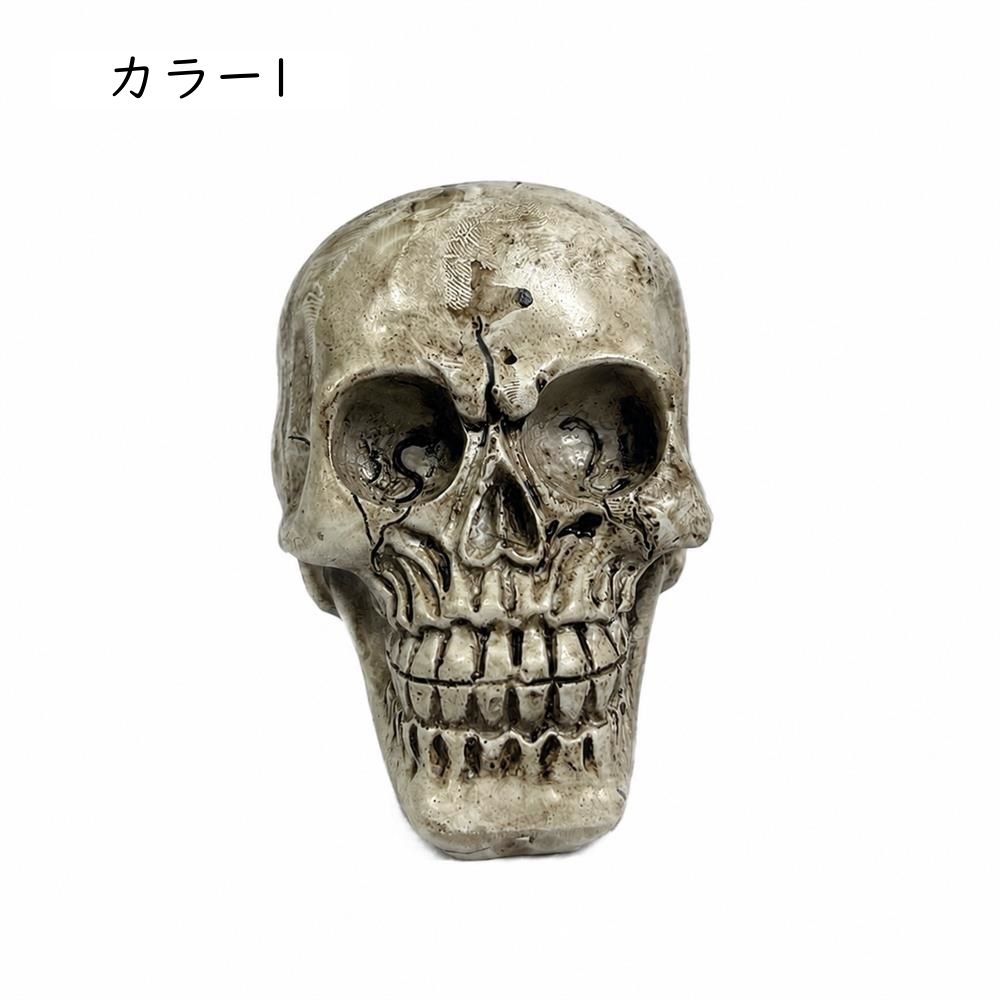 頭蓋骨模型　ガイコツ　置き物　小物入れ ガラ空き ドクロ 小物入れ 卓上 リアル 頭蓋骨 骸骨 ガイコツ おしゃれ