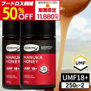 \在庫一掃!50%OFF/マヌカハニー はちみつ コンビタ UMF 18+ 250g 2個 マヌカ モノフローラル 生はちみつ 無添加 非加熱 ギフト プレゼン...