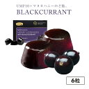 マヌカハニー のど飴 UMF10+ 配合 ブ